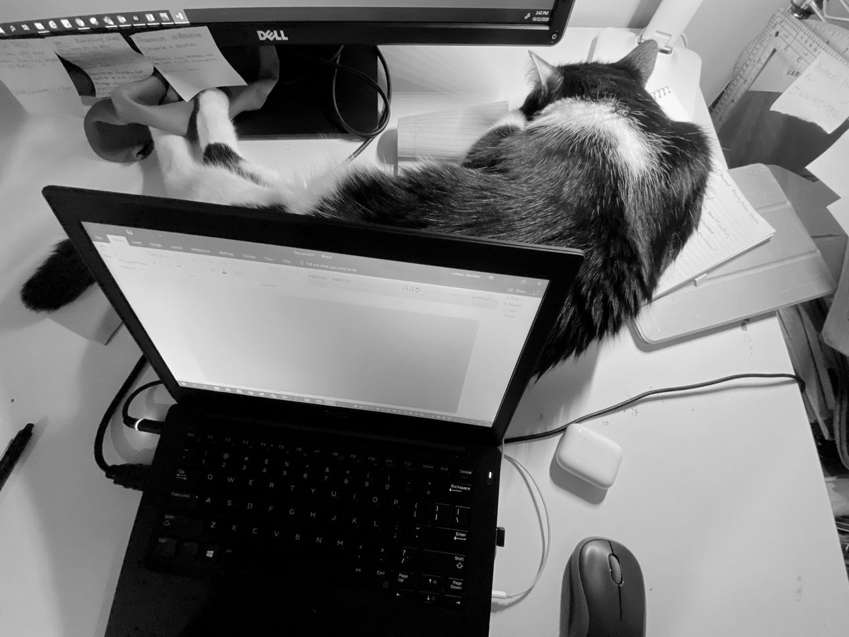 jenbrookelehner's tweet photo. Sure, I’ll move MY laptop, that I’m using to work, which allows me to buy YOU food and treats, just so you can lay down. #wfh #wfhwithpets #CatsOfTwitter https://t.co/VYYtX9AHrs