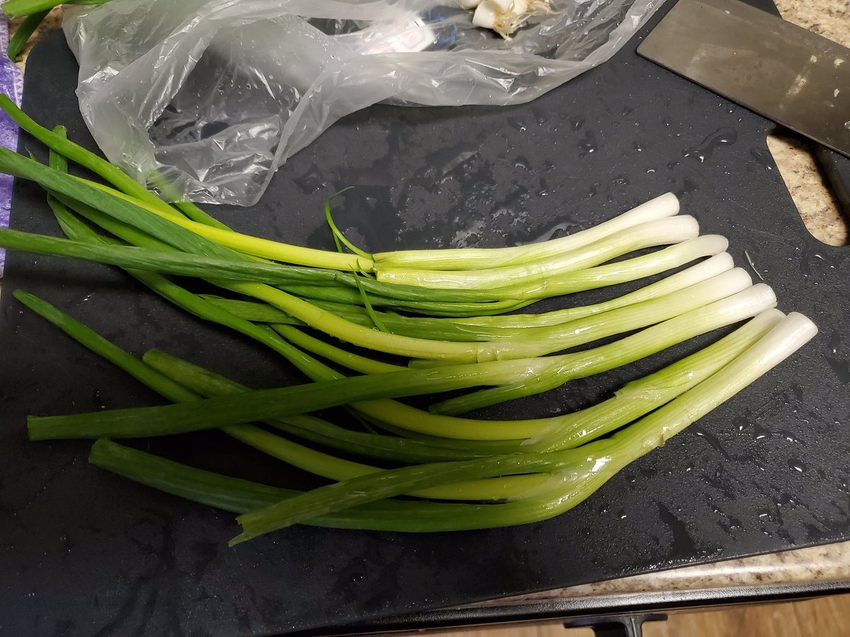 Chop up the scallions finely (do NOT use a food processor here, they need to stay crisp)Now, 6 stalks gives you an even mix of the flavors but I'm using 8 here.There's a lot of things in life we can't control, but ginger-scallion ratio isn't one of em.