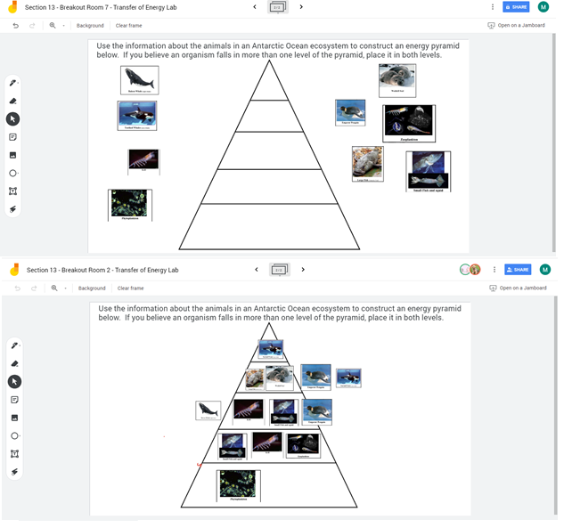 MKellyOceanside's tweet photo. Using #Jamboard to look at energy pyramids and food webs in #BreakOutGroups. Students had to use their puzzle pieces to construct a food web and energy pyramid. #HybridLearning #ThisIsOSDScience @GoogleForEdu @DrMChristiansen @DianeProvvido @OMS_NY https://t.co/0YKbG4Y6rw