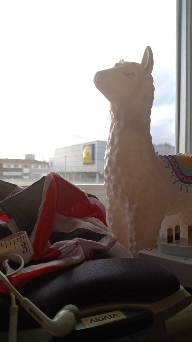 CrickAIClub's tweet image. #CrickDataChallenge project leader toolkit as demonstrated by Project 4 leader @filhadogomes:

Headphones for blocking out distractions ✅
Ergonomic mouse mat to prevent RSI ✅
Zen Llama figurine ✅
Nearby supermarket for emergency supplies ✅

One more day of coding to go!