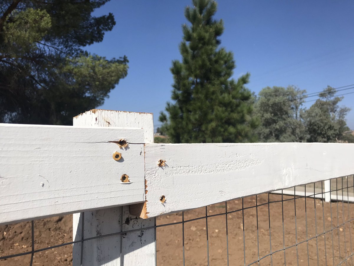 Even with the best skills, best plans, and best knowledge, the final product sometimes falls short of ideal. Nothing #hardwork #leaders can’t fix though. As a #leader are you humble enough to accept a miss  and then get right back to fixing it? #leadermill