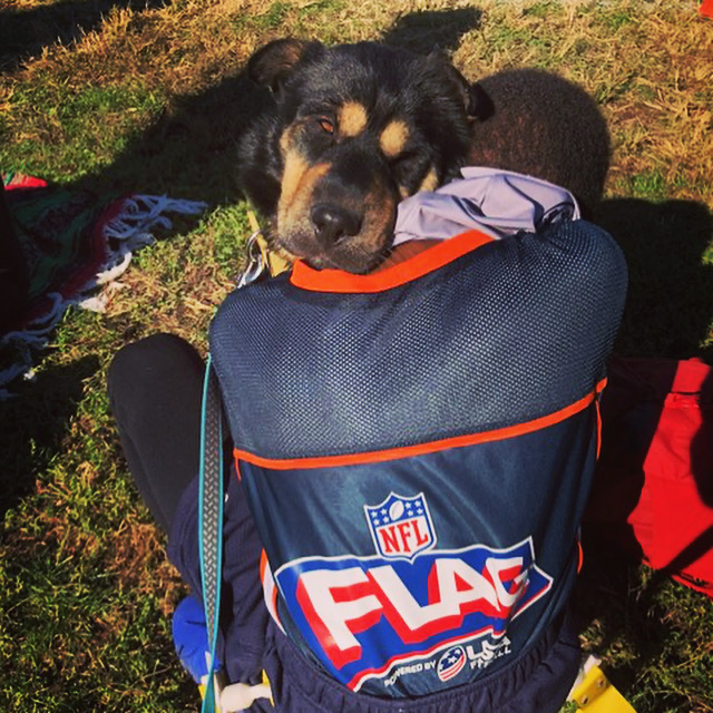 Cat Greenleaf tweet media