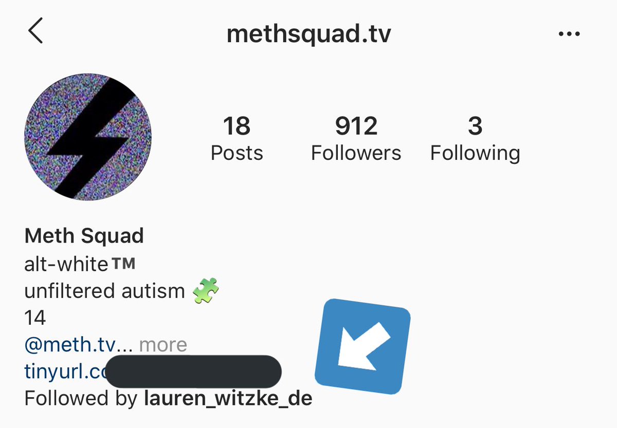 Update: Lauren Witzke has decided to follow a second white nationalist account: “Meth Squad TV.” This is a different account than “The Meth Squad” listed above. Earlier today, Witzke wasn’t following that account.Witzke appears to be a big fan of Meth Squad’s white nationalism.