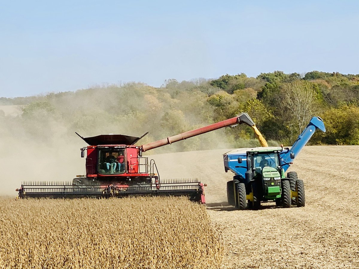 BeardImplement's tweet photo. Great Demo last week near Rushville, Illinois. New @Case_IH 8250 with @MacDon FD F135. What can we demo for you? Call today to set up a demo for this fall. #caseih #casecombine #redpower #harvest2020 #midwest #farming https://t.co/YPjoixKVrY https://t.co/ULn62ygI9x