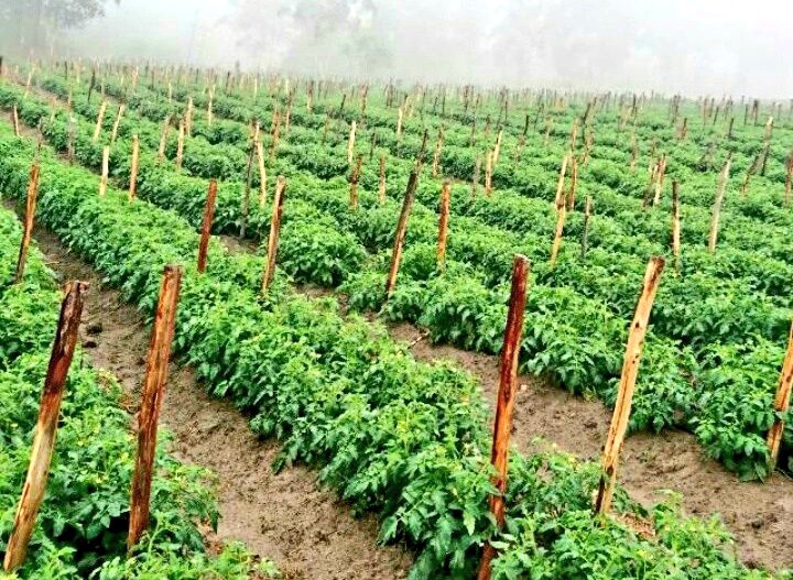 Mudumenwemari..Int'l tweet media