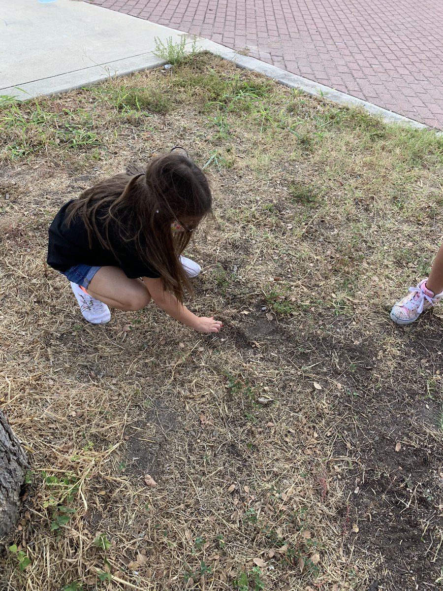 mabston1972's tweet photo. After learning about soil in science, the kids loved using their magnifying lens to explore during recess. @NISDLieck https://t.co/giIoexrB38