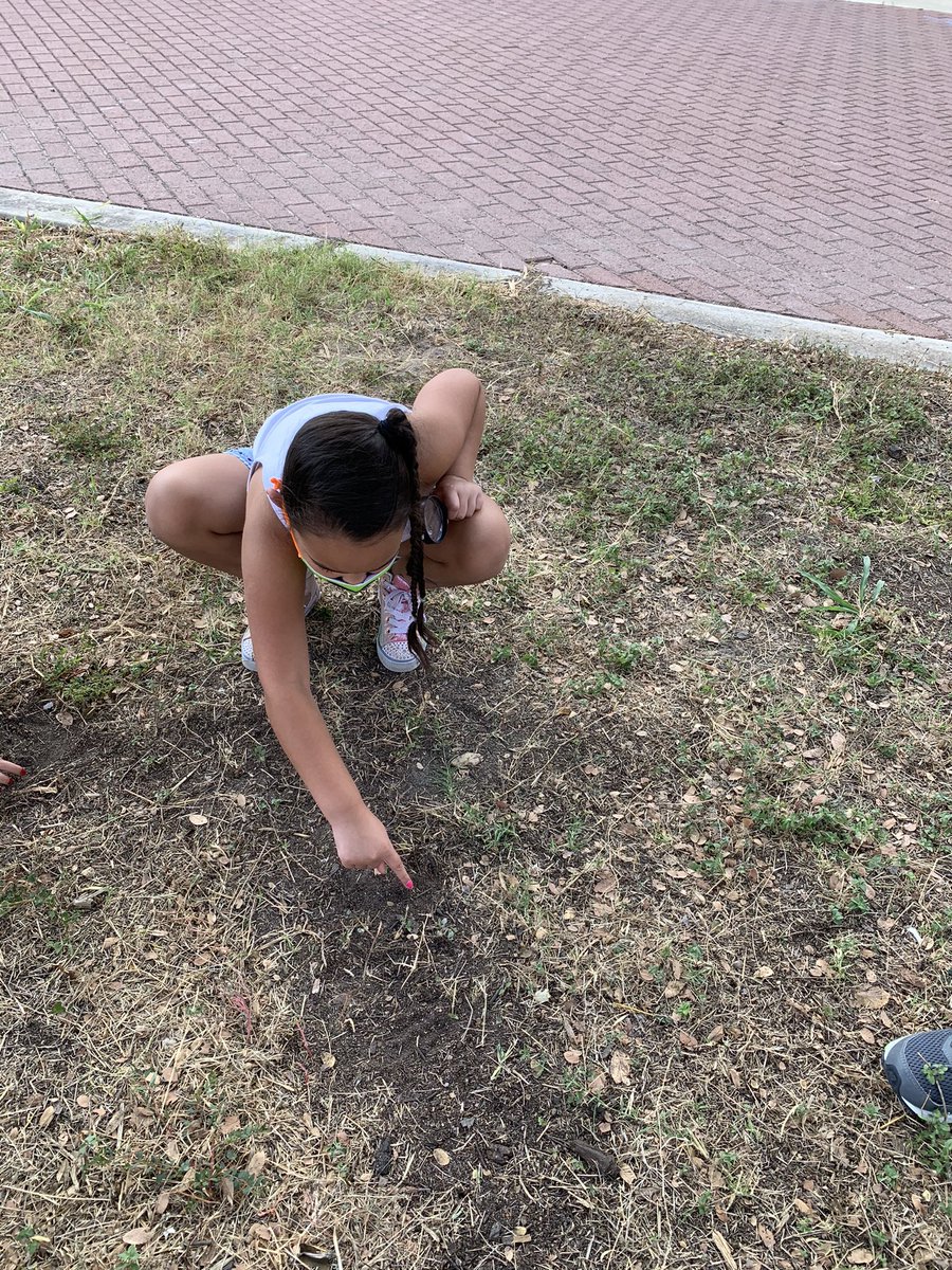 mabston1972's tweet photo. After learning about soil in science, the kids loved using their magnifying lens to explore during recess. @NISDLieck https://t.co/giIoexrB38