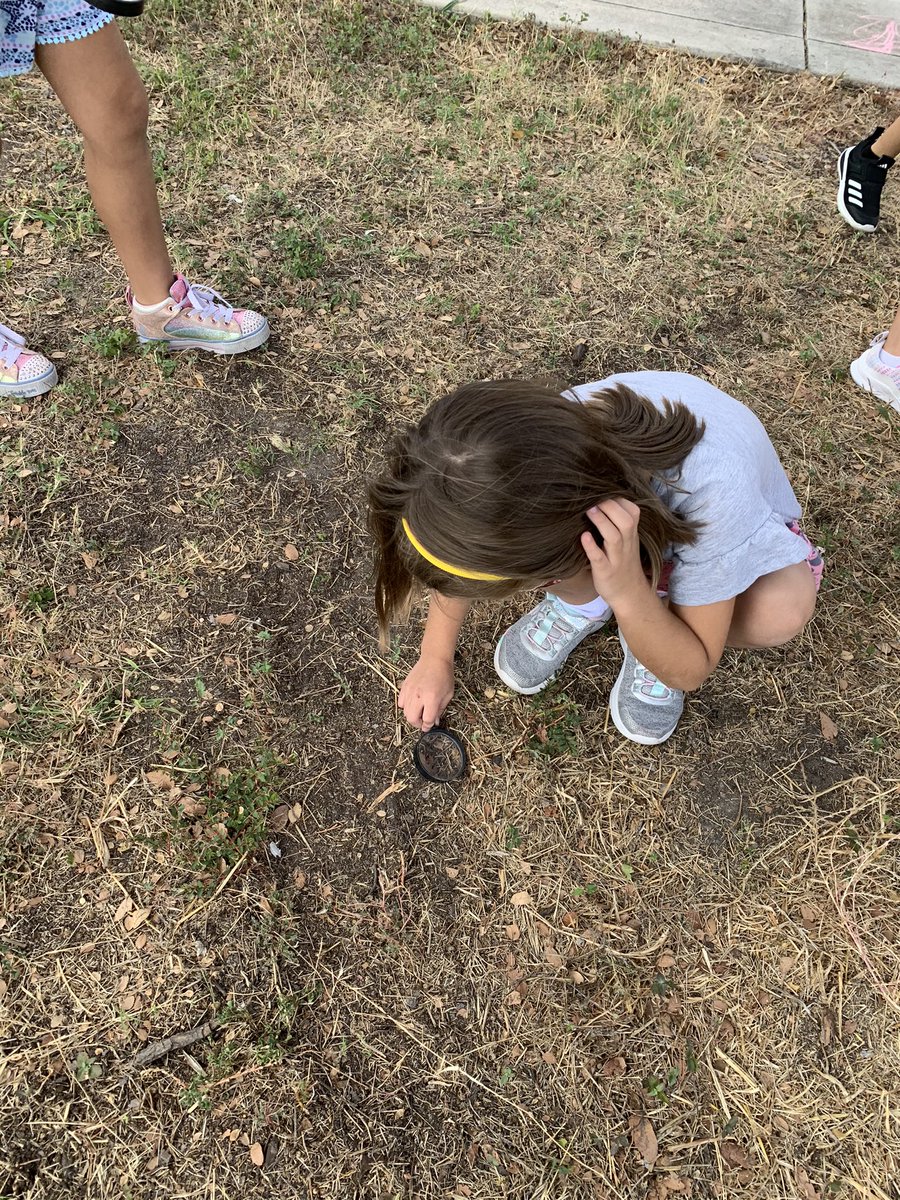 mabston1972's tweet photo. After learning about soil in science, the kids loved using their magnifying lens to explore during recess. @NISDLieck https://t.co/giIoexrB38