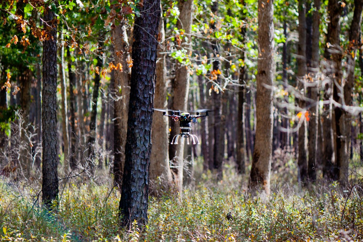 It’s #NationalForestProductsWeek! #DYK - Our Treeswift drone flies under the forest canopy to capture forest data with unprecedented precision and speed.

#ModernForestry #drone #WhartonStateForest