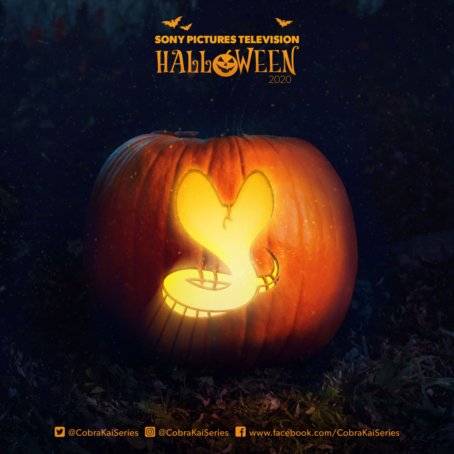 sony-pictures-television-on-x-this-halloween-carve-on-and-carve-off-with-these-cobrakaiseries-pumpkin-stencils-join-the-dojo-and-download-here-https-t-co-23j5xmnin5-cobrakai-sptvhalloween-https-t-co-mkmicggeqj-x