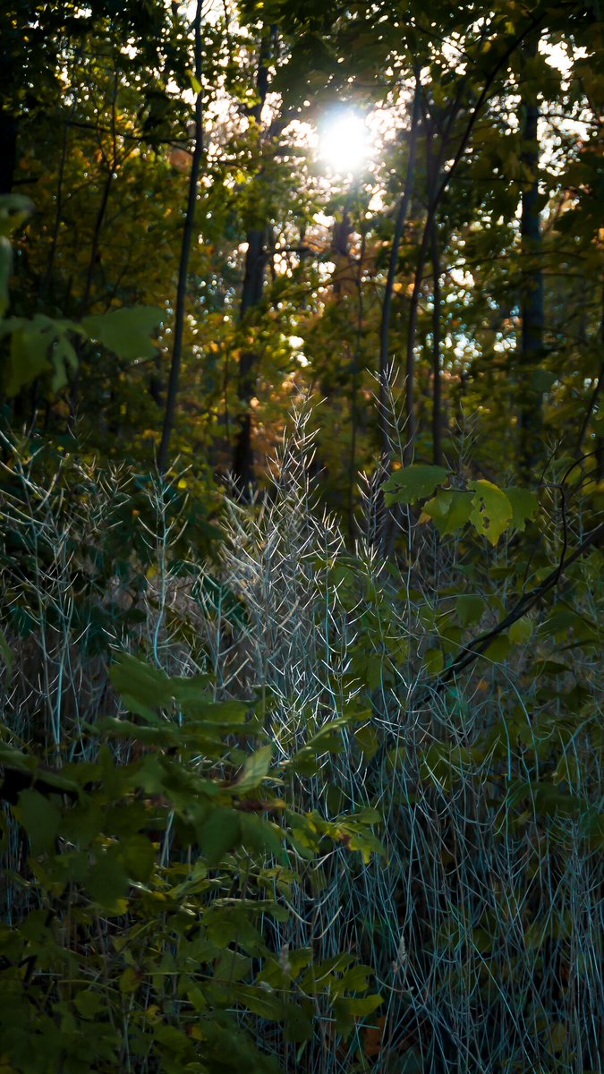 I hope you like plants 👌