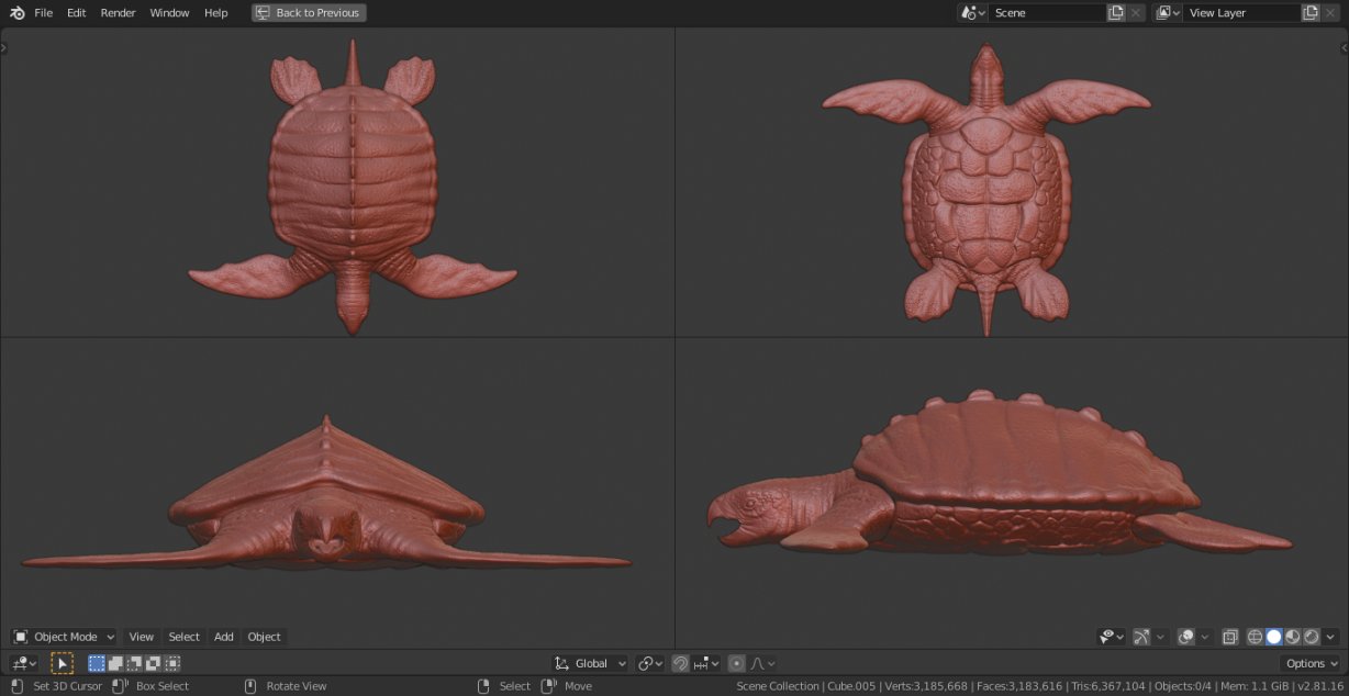 It S Brock Archelon Prehistoric Turtle Indiegame Indiedev Indiegamedev Education Paleontology New Model For The Game For The Archelon T Co Wpsn7op8z5 Twitter