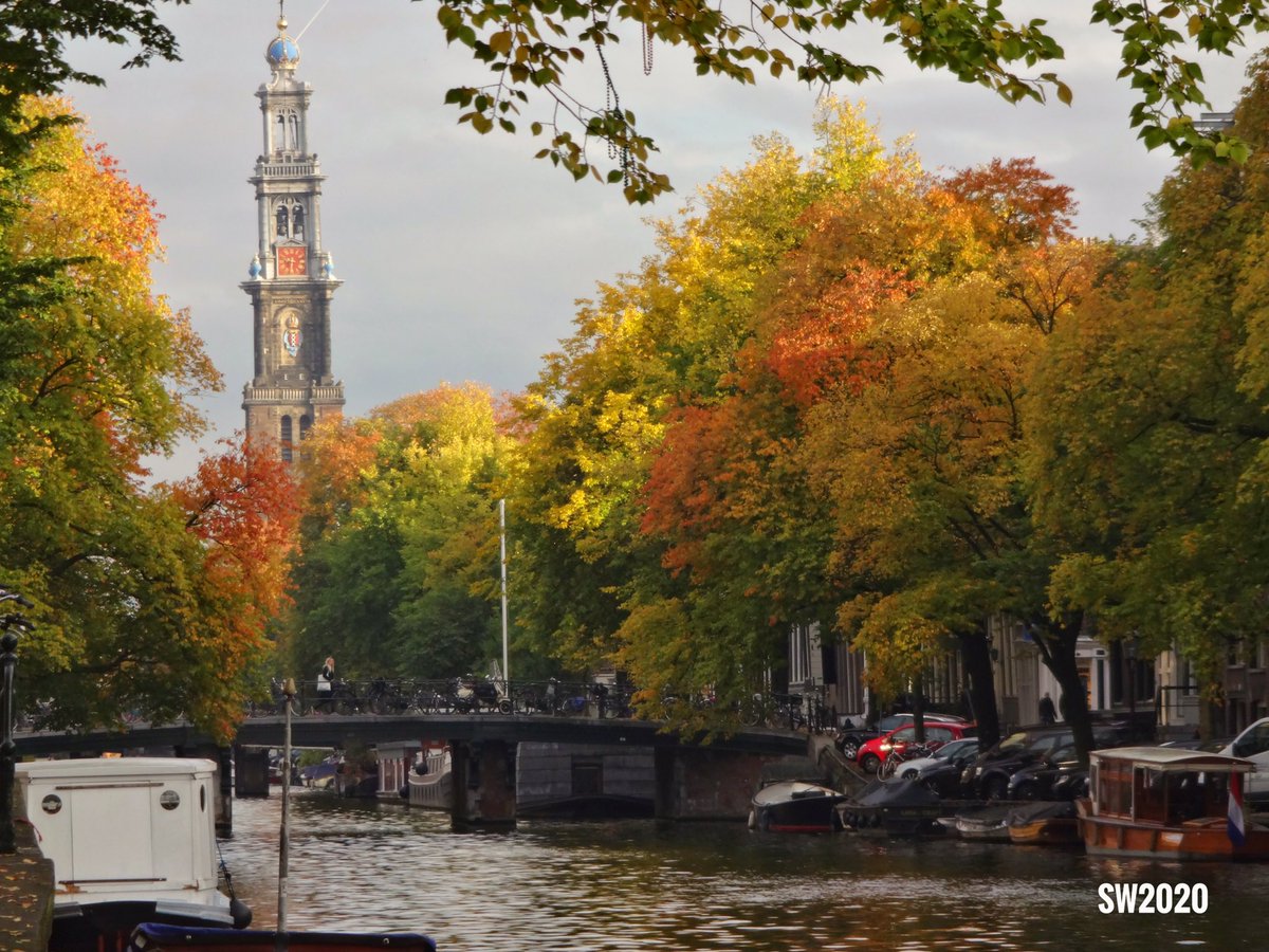 Amsterdamexplor's tweet image. Enjoy the free top recital by Leonard Seeleman on the famous Duyschot organ. Friday 23 Oct at 1 pm at the @Westerkerk1 in #Amsterdam but do note that strict RIVM guidelines apply
