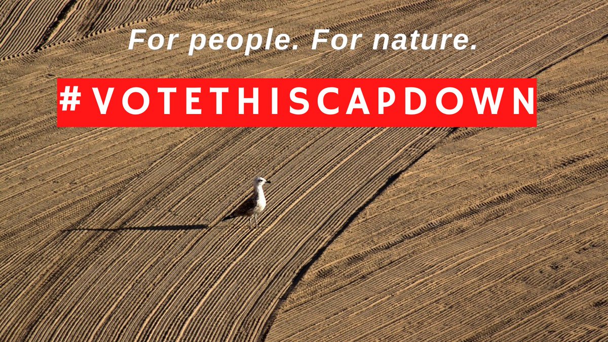 🗳️ Aujourd'hui vote Politique Agricole Commune: le Parlement européen va-t-il commettre l'irréparable ? Perdre encore 7 ans pour réformer notre système de production agricole serait irresponsable vis à vis des générations futures. 
▶️ bit.ly/actuvotePAC

#VoteThisCAPdown