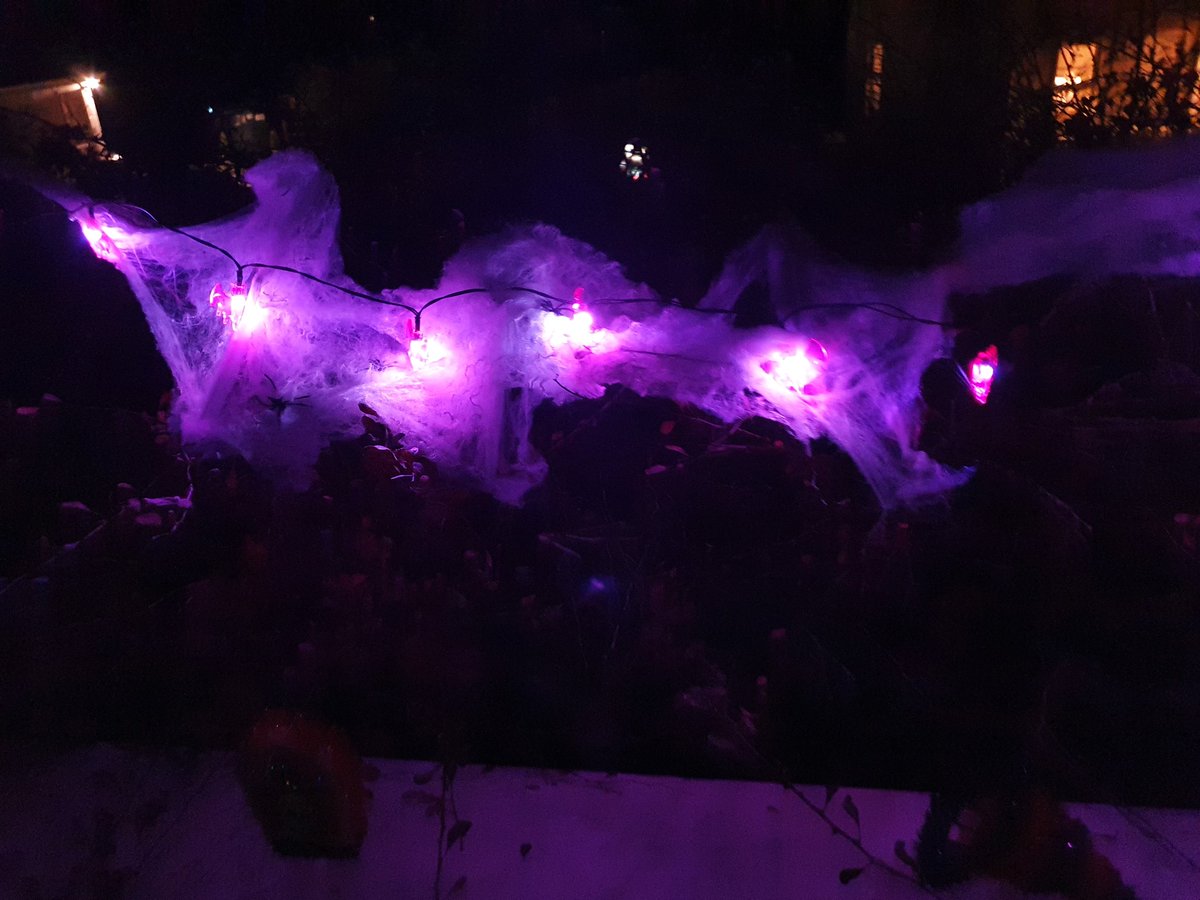 birkett_elaine's tweet image. Now @RuthMCreighton I&apos;m putting it up to ya here in Cavan 🤣 #SpookyChallenge 🧛‍♂️ 🧛‍♀️ 🎃 👻 🕸 

Its been a productive evening.