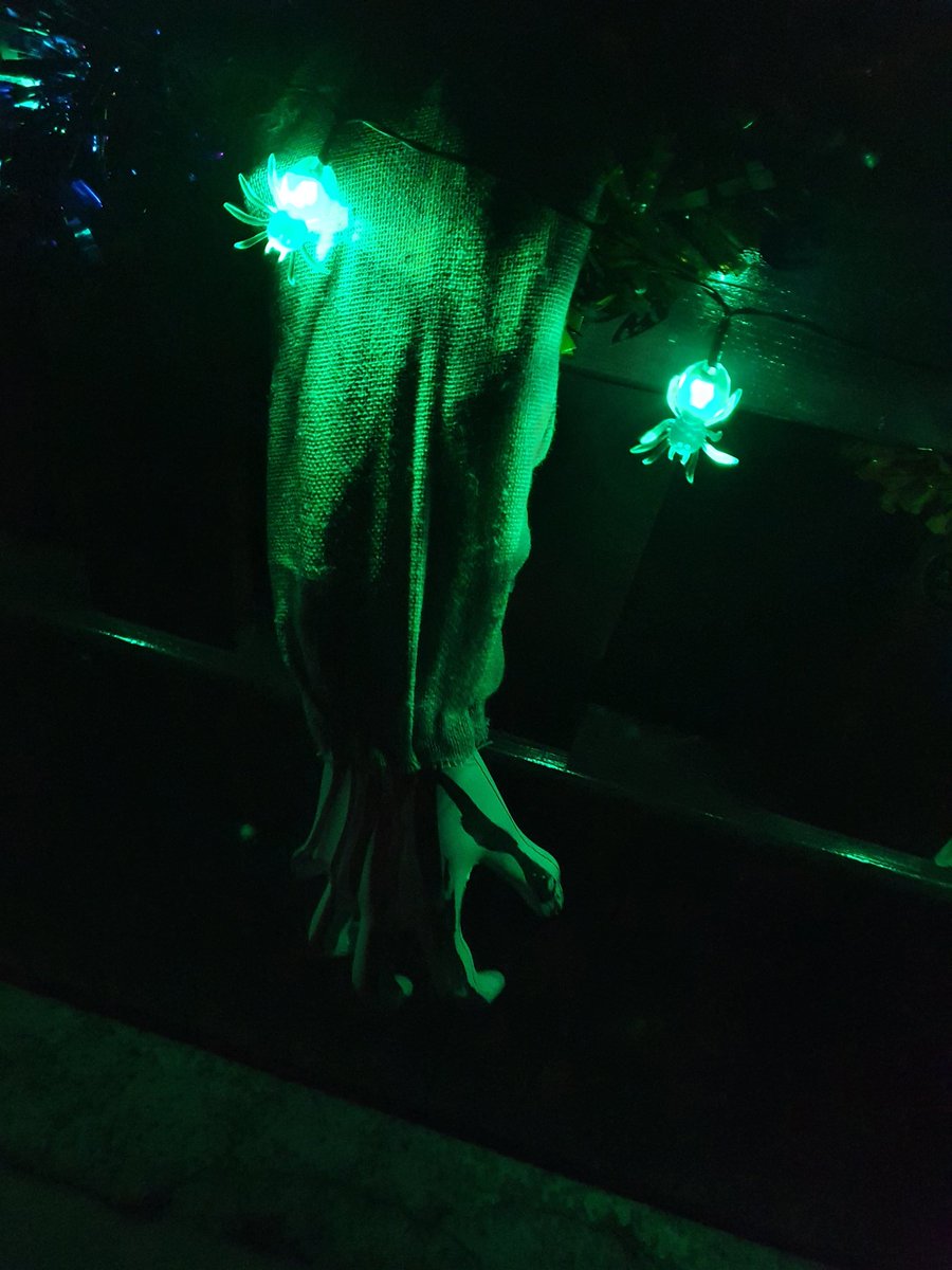 birkett_elaine's tweet image. Now @RuthMCreighton I&apos;m putting it up to ya here in Cavan 🤣 #SpookyChallenge 🧛‍♂️ 🧛‍♀️ 🎃 👻 🕸 

Its been a productive evening.