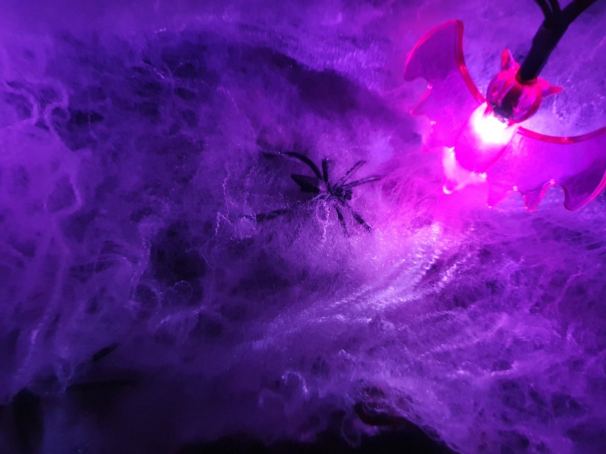 birkett_elaine's tweet image. Now @RuthMCreighton I&apos;m putting it up to ya here in Cavan 🤣 #SpookyChallenge 🧛‍♂️ 🧛‍♀️ 🎃 👻 🕸 

Its been a productive evening.