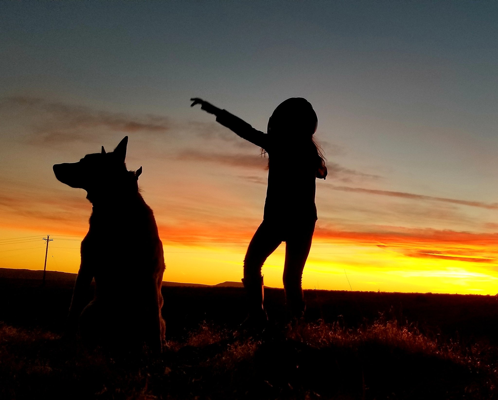 Erik Gruenwald (gfpgolden) / Twitter