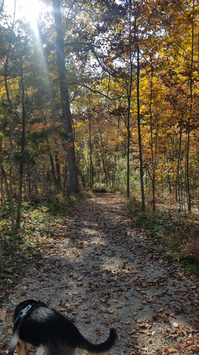 CherryReads's tweet image. Toby and I getting our mile in a day late for @BAM_MS_Official #ClimbtoUnity. Today&apos;s weather and the Fall vibe can&apos;t be beat!