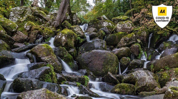 AA Rated Trips tweet media