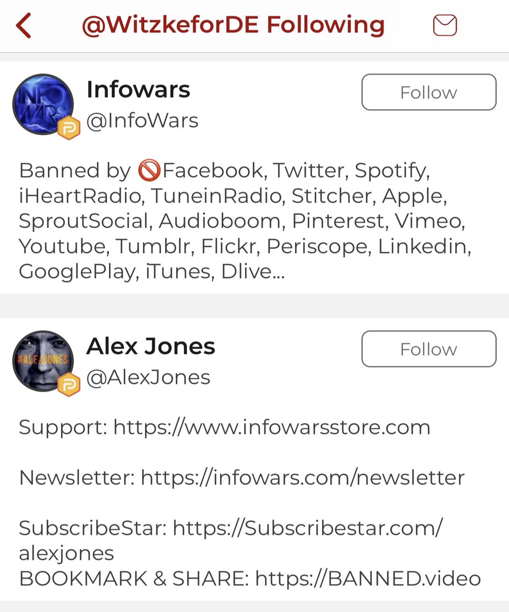 On Parler, Lauren Witzke follows the Proud Boys, Alex Jones, and Info Wars. Witzke appears to be a huge fan of conspiracy and hate.