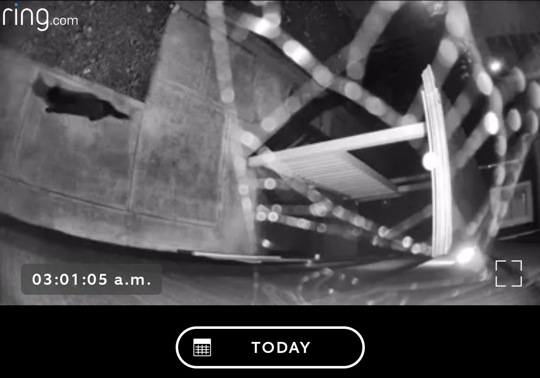 We have a new mystery here at Château Brazeau. I'll save the details for the vlog, but peep this. Note the dates and timestamps.