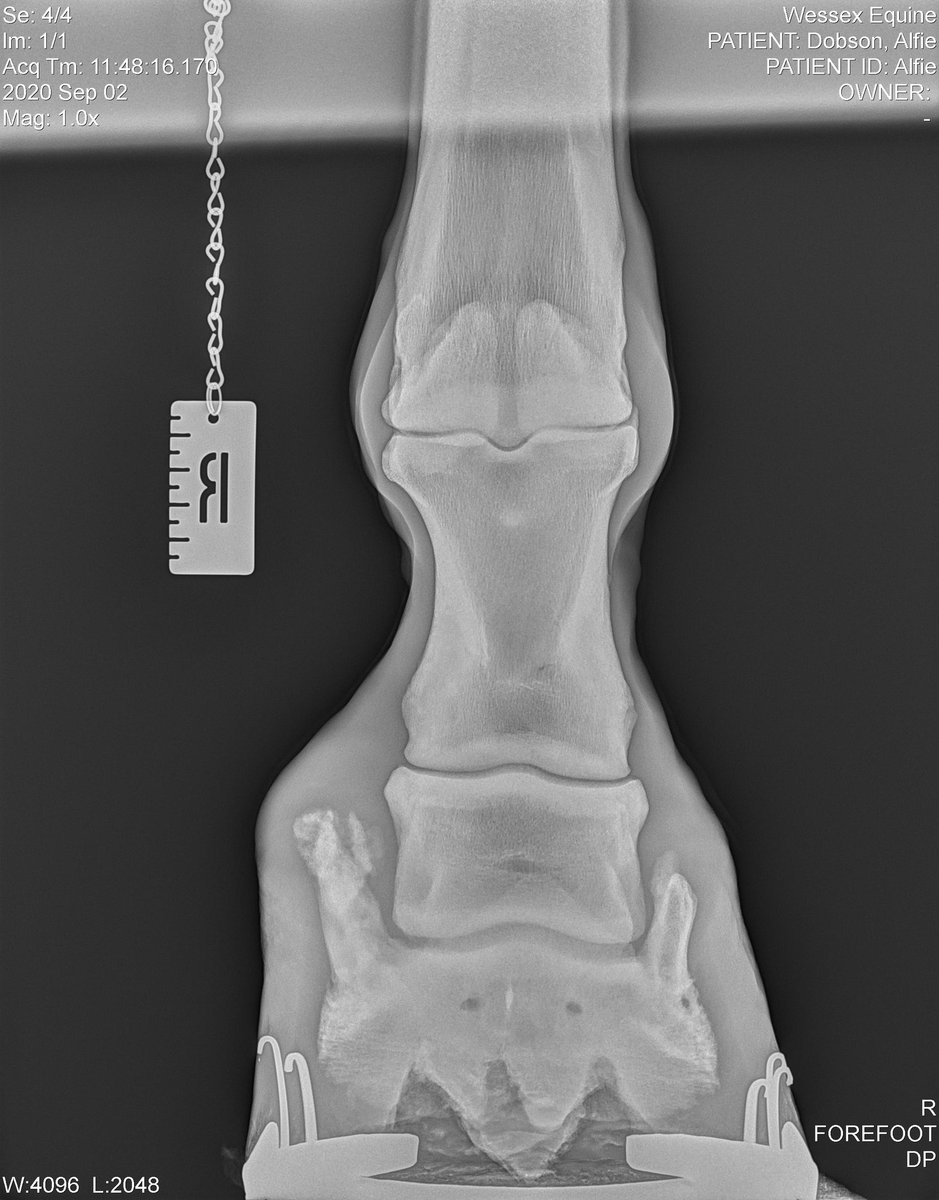 Ros Dobson tweet media