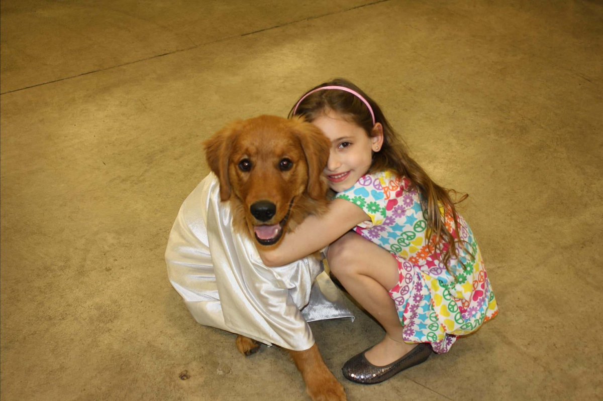 happy 11th birthday to the goodest boi !! 💚💚