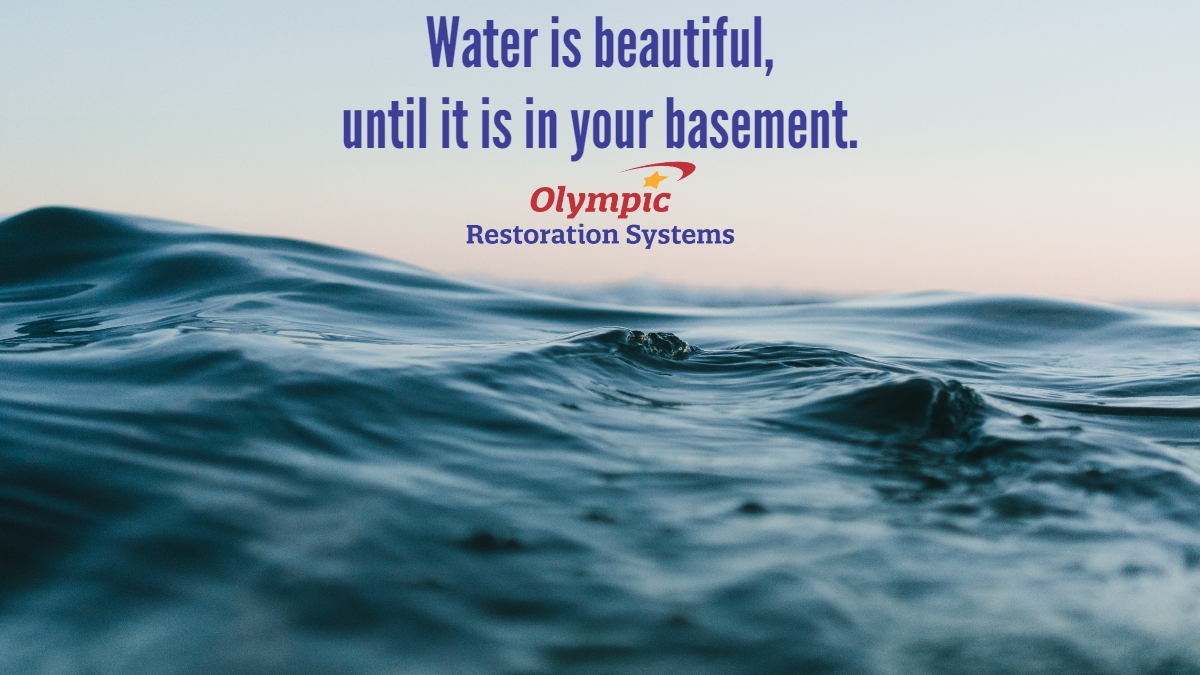 A moisture problem in your basement can be a disaster for your finances and health. Click here for more information.

olympicrestoration.com/about-us/blog/…