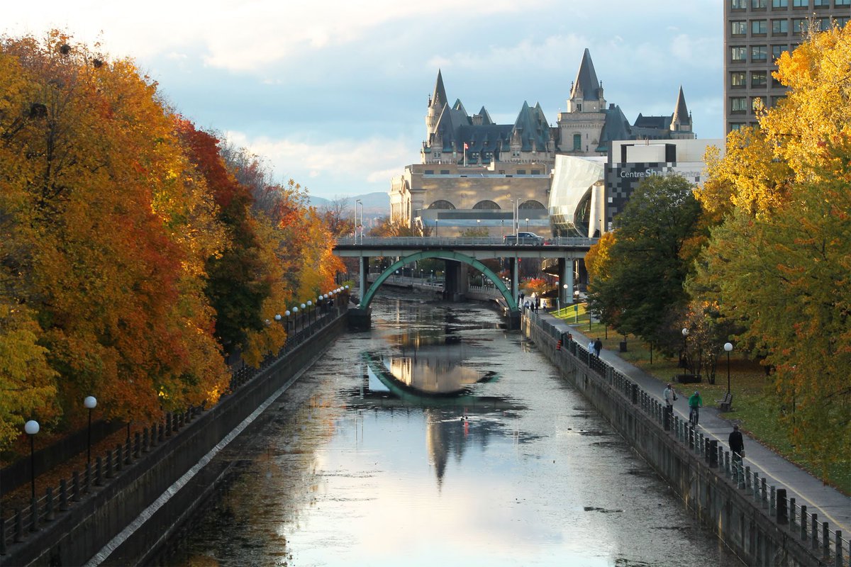 Jeremy MacLaine tweet media