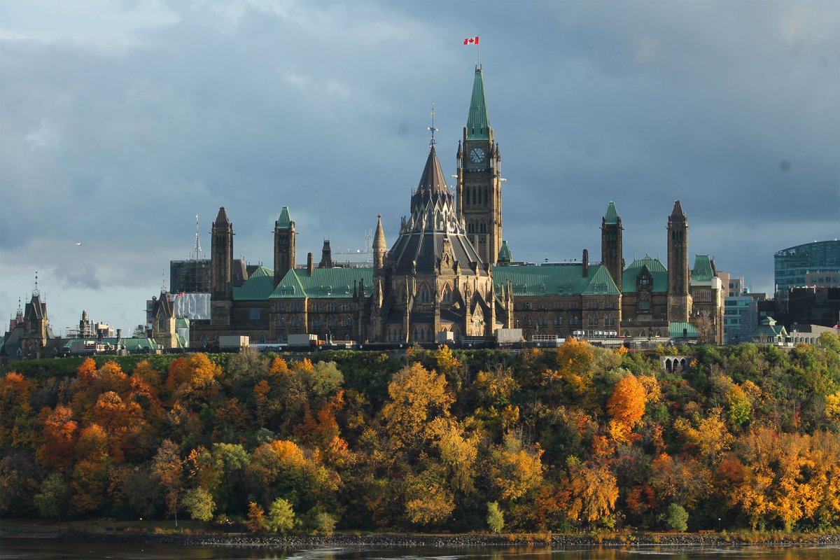 Jeremy MacLaine tweet media