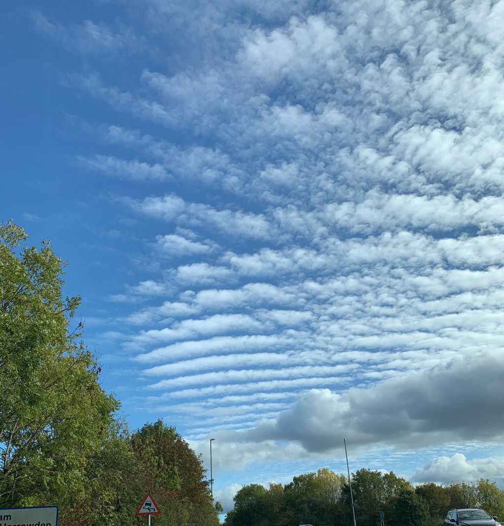 TheSparkAngels's tweet image. Even the sky has better WiFi signal than I do... hmmf 😤
#wifisignal #wifisucks