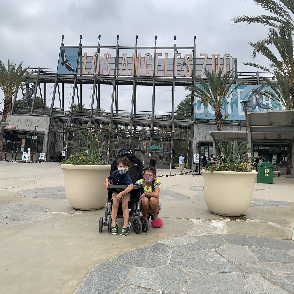 AceKimmy's tweet photo. 🦁 🐻 🐵 🐊 🦩 
#losangeleszoo #la #losangeles #zoo #adventuretime https://t.co/Jsgy3kC0Mo
