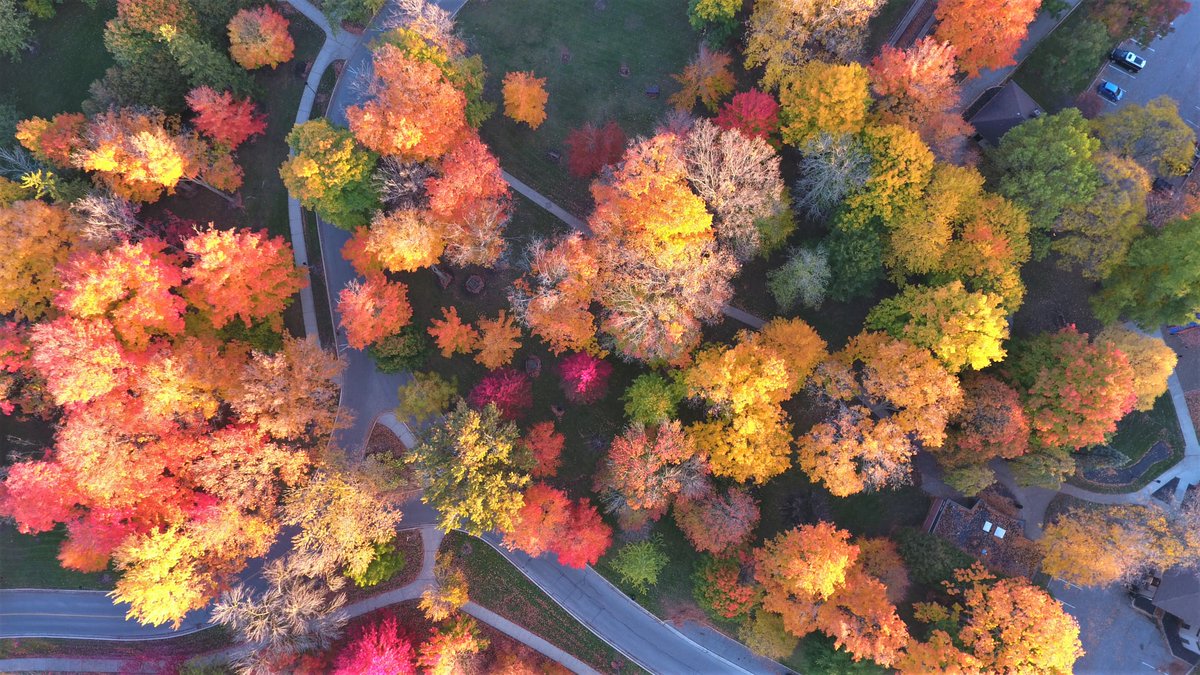 StratfordON's tweet photo. Have you FALL-en for Stratford yet? π #FallForStratford
πΈ: Al Hamberg https://t.co/LZsVSF1tSc
