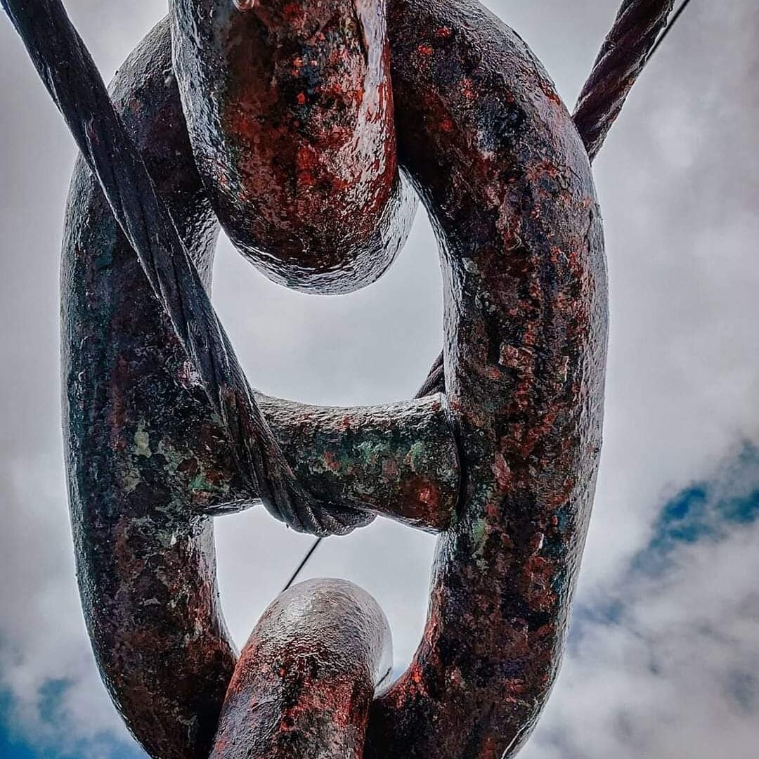 1SafetyLast's tweet image. .."We should not moor a ship with one anchor, or our life with one hope"..
(Epictetus)