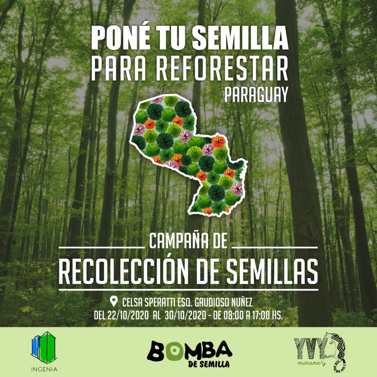 Todas las semillas sirven, pero demos prioridad a árboles nativos:Yvyra pyta, Jacarandá, Lapacho, Timbo, Cedro. @Santula @karenforcado @clariarias @aisman6 @cherovapete_ @CarmiMasi @Drunken_Forest me ayudan con reetwet? Más info en: https://t.co/AGAkpiUHFr
https://t.co/QCyHXJoW8n https://t.co/CD1SK72cIc