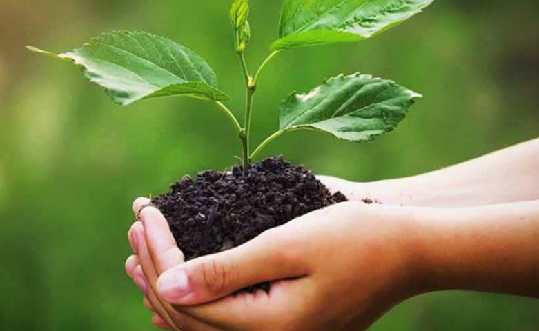 #Environmentalremeditation encompasses many different applications that use a variety of equipment. We have developed a range of equipment to help you comply with each stage of the remediation process: bit.ly/31mov1k