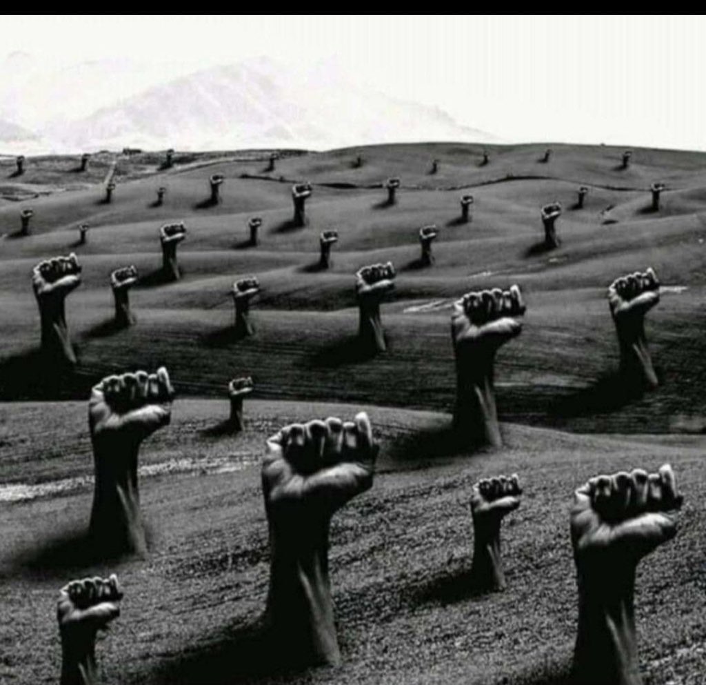 Regardless of Buhari Speech.

Retween to show support for our Hero of  #LekkiMassacre2020
#NIGERIAPREVAILS