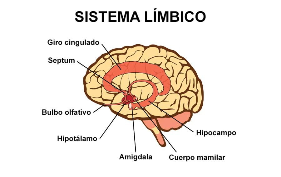 Luisma ⚕🫀 on Twitter: Luisma ⚕🫀 on Twitter: