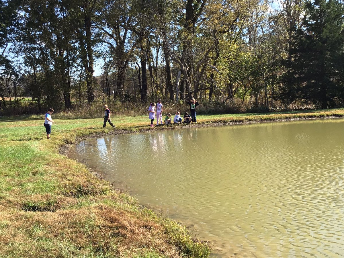 Lindsey Mueller(she/her) tweet media