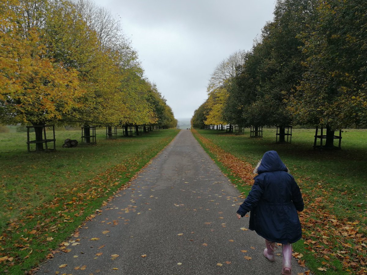 EmmaSysum's tweet photo. Had a fantastic walk around @NTDyrhamPark earlier. Trees in amazing #autumn colours. Will have to go again soon. Want to walk the prospect route next time. #HalfTerm #family #walking #FabViews @nationaltrust #BestPlaceEver #HappyMembers https://t.co/lM24AWFZR2