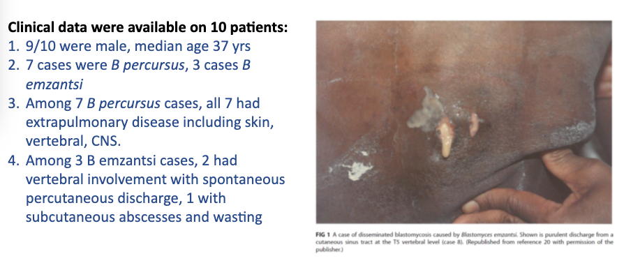 4) 10.1128/JCM.01661-19 – Blastomycosis in S. Africa by B. percursus/emzantsi 1967-2014; Review of 20 “B. dermatiditis” cases; Clinical data (pic 1), all w/ extra-pulm dz, higher than expect for B. derm. Sequencing revealed B. percursus/emzantsi, significance (pic 2)