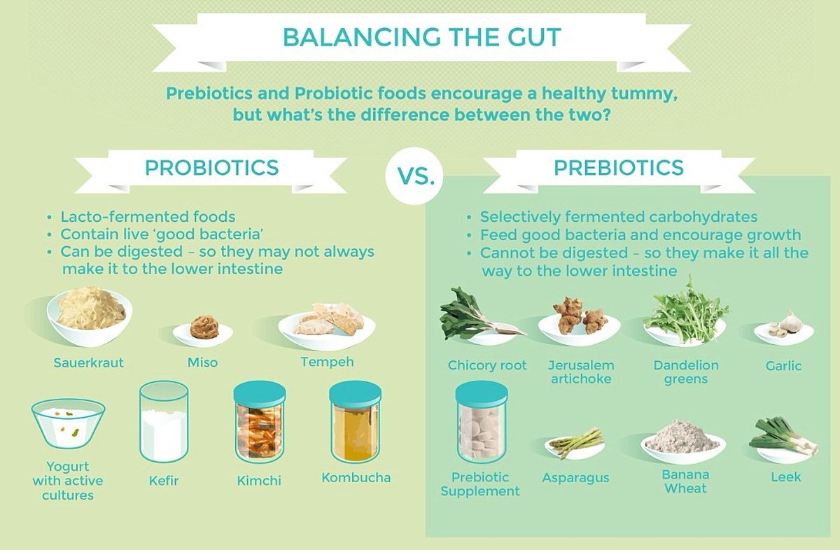 Где содержатся пробиотики. Пребиотики в еде. Эубиотики пробиотики разница. Продукты с продиотиком. Где содержатся пробиотики.