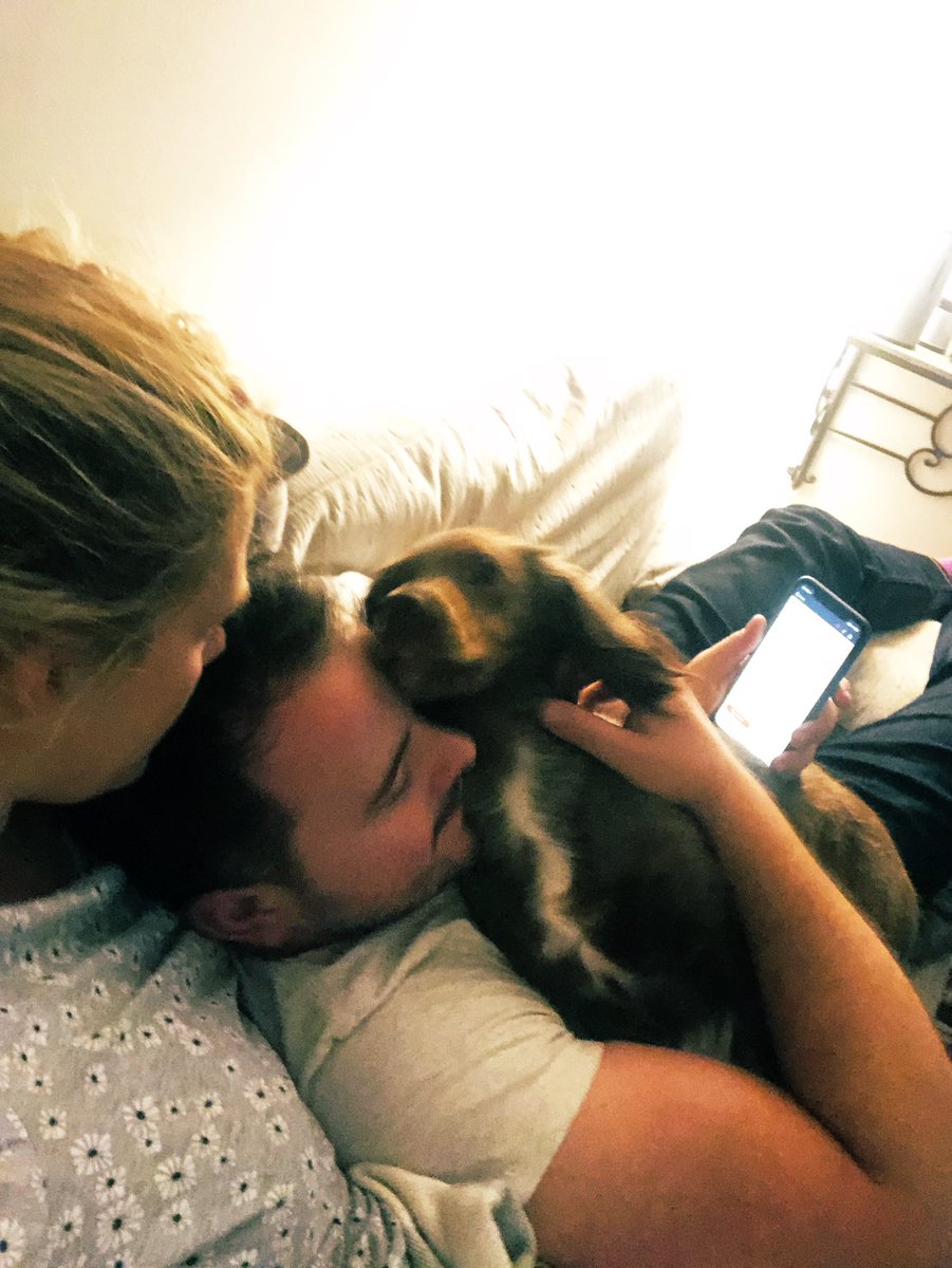 My favourites #cockerspaniel #happy #birthdayweek #Autumnwalks