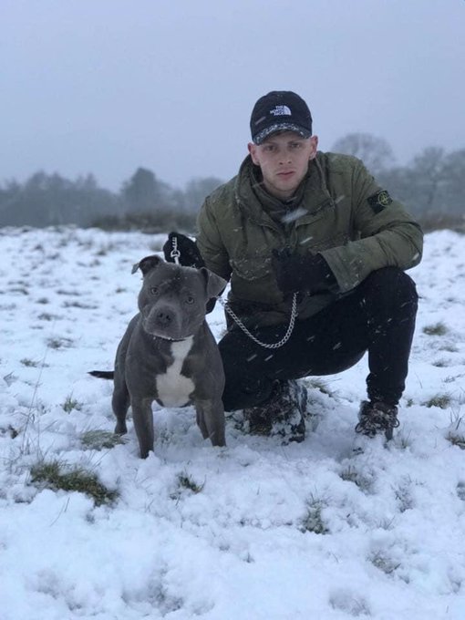 ?The ScallyKings Bestfriend!?

#chav #scally #bestie #PitBull #pitbulltype #blue #irishblue #Stoneisland