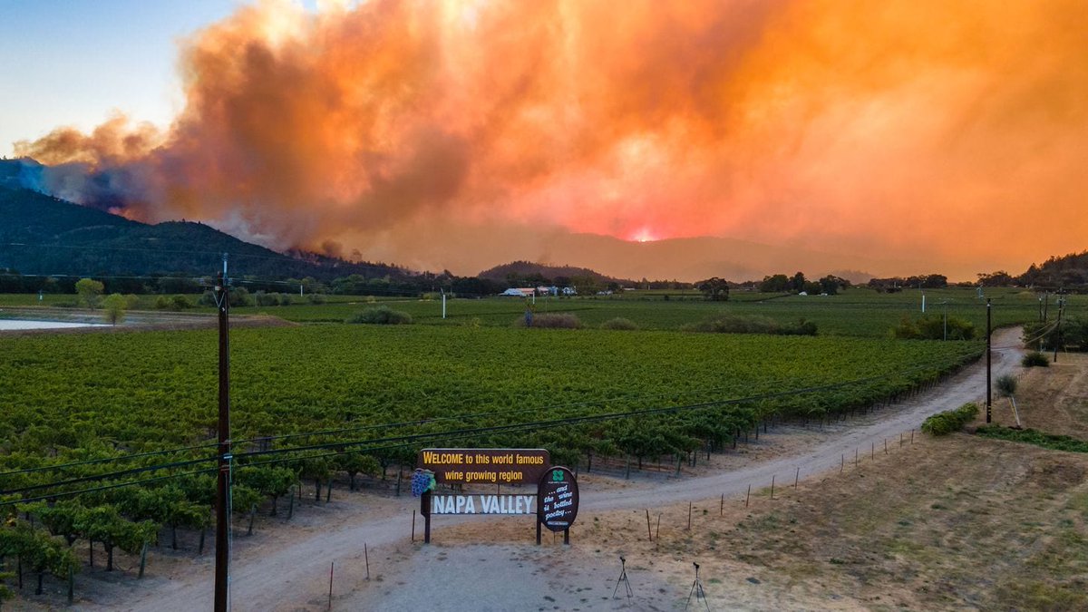 Napa_Insights's tweet image. Excellent article in the @washingtonpost about the recent #NapaValley fires. tinyurl.com/y3wrv8r8