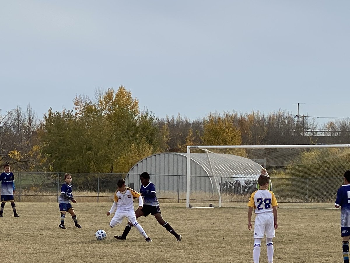 Impact08PDPBoys's tweet photo. Mid-October 11v11 games are a rare #yeg treat! Boys were pumped to earn a win in their new all white look!   #bluecrush @SASA_Impact https://t.co/kqhwDic56x