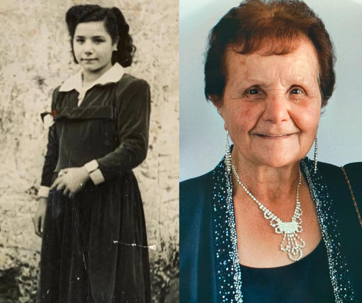 Family Tree Historian tweet media