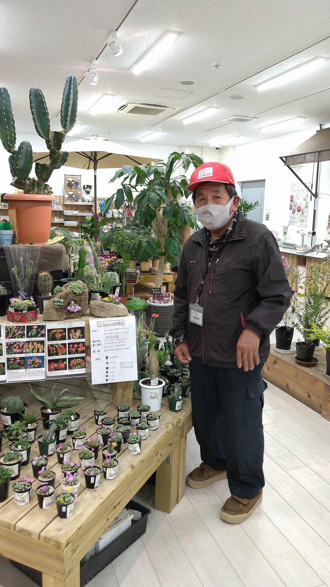 道の駅とよはし 公式 多肉植物生産者の 足立さん対面販売 本日9時から15時まで 花マルシェ特設コーナーにて多肉植物生産者の足立さん とっても優しい足立さん が育てた 超個性的な多肉植物を販売 めちゃくちゃ可愛くて 道の駅とよはし 公式 多肉植物生産者の 足立さん対面販売 本日9時から15時まで 花マルシェ特設コーナーにて多肉植物生産者の足立さん とっても優しい足立さん が育てた 超個性的な多肉植物を販売 めちゃくちゃ可愛くて