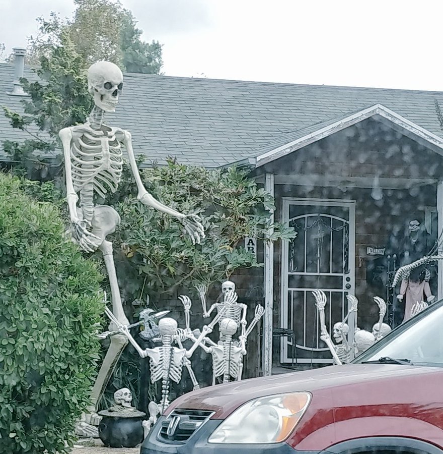 Memes Made 12 Foot Skeleton a Must-Have Halloween Item | Adweek